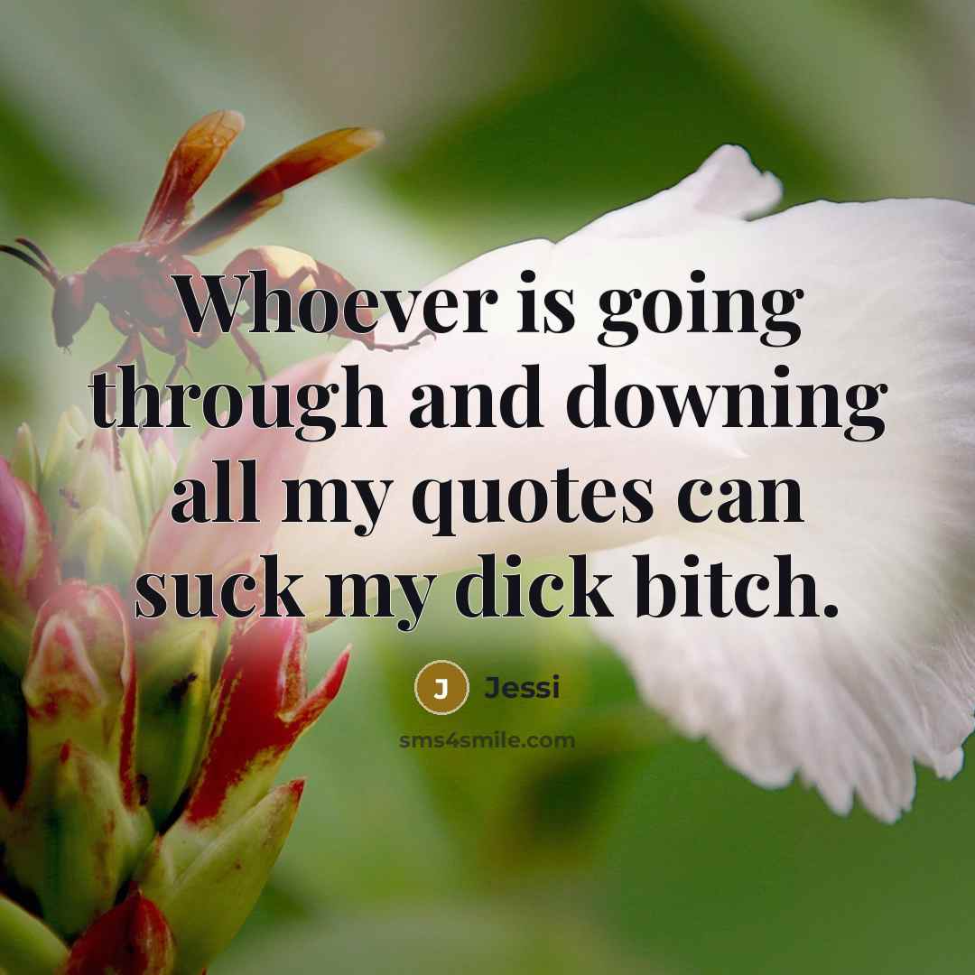 “Whoever is going through and downing all my quotes can suck my dick bitch.” quote by Jessi