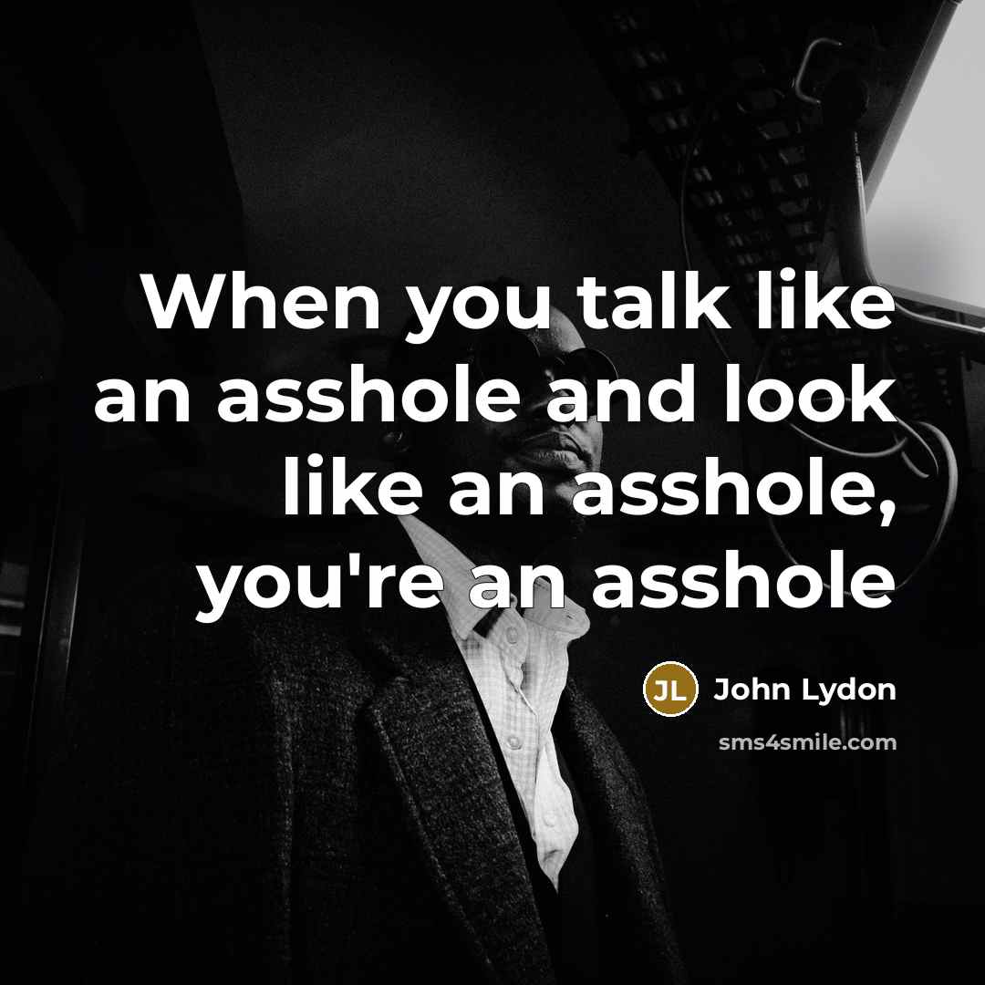 “When you talk like an asshole and look like an…” quote by John Lydon