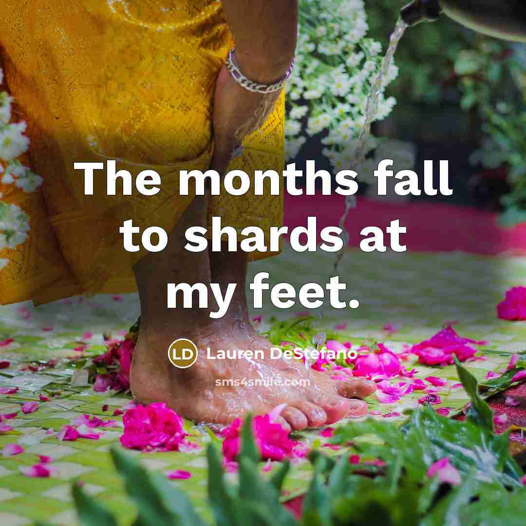 “The months fall to shards at my feet.…” quote by Lauren DeStefano