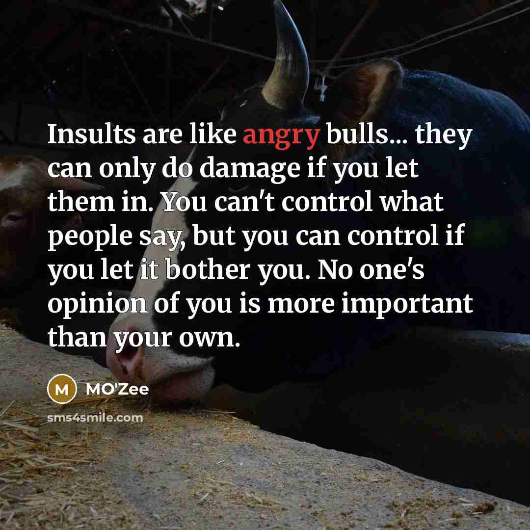 “Insults are like angry bulls... they can only do damage…” quote by MO'zee