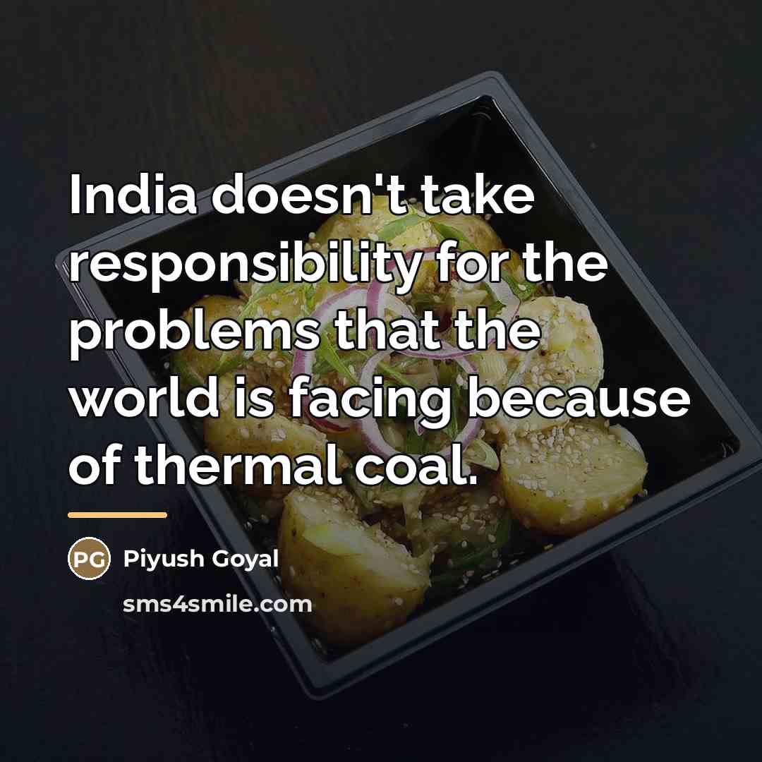 “India doesn't take responsibility for the problems that the world…” quote by Piyush Goyal