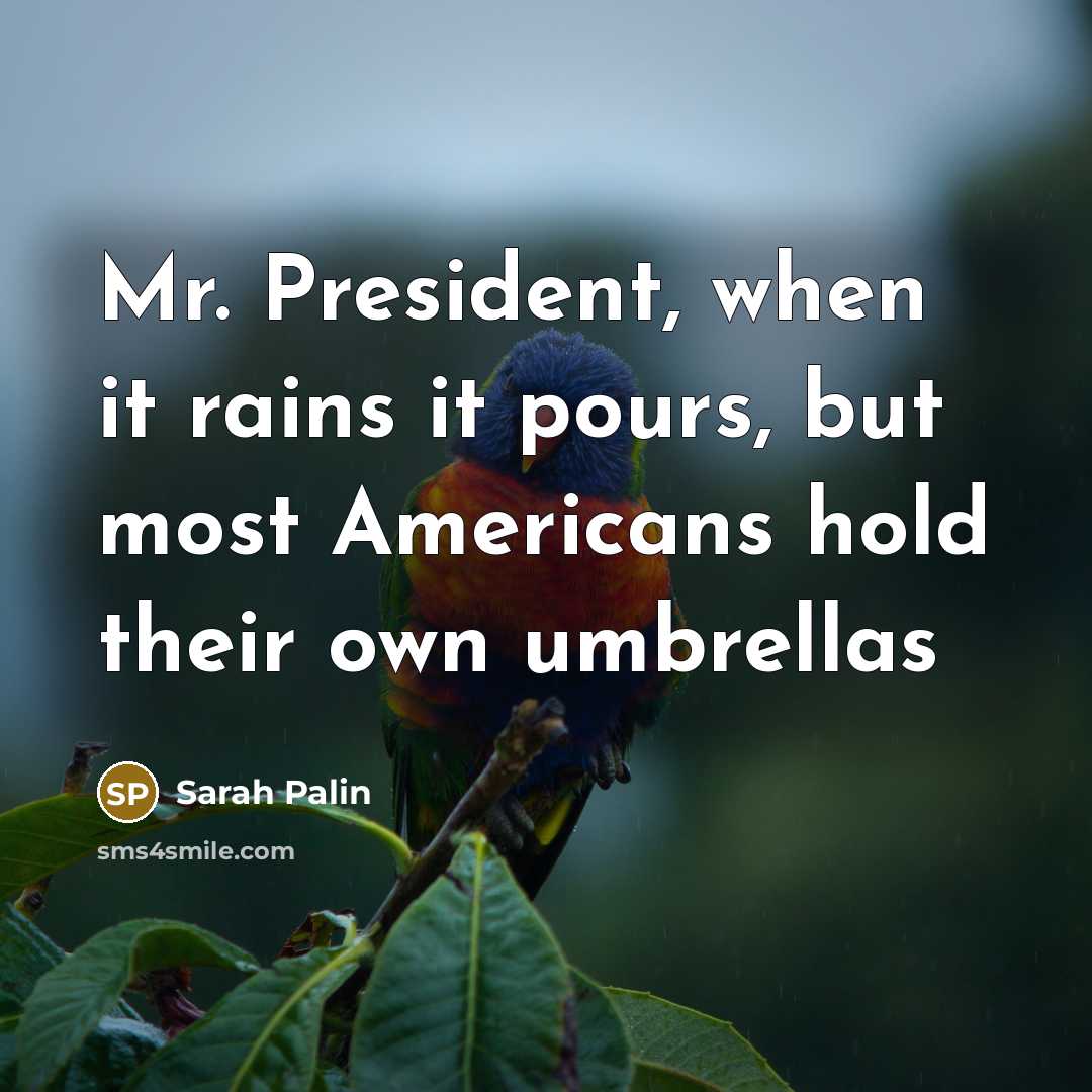 “Mr. President, when it rains it pours, but most Americans…” quote by Sarah Palin