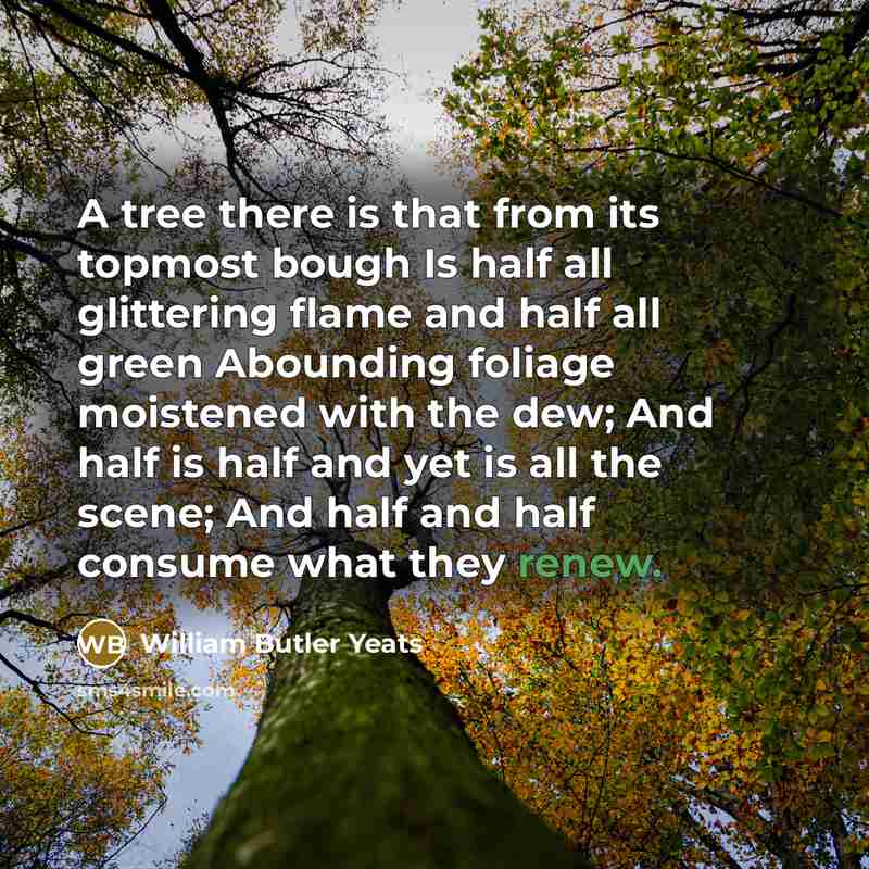 “A tree there is that from its topmost bough Is…” quote by William Butler Yeats
