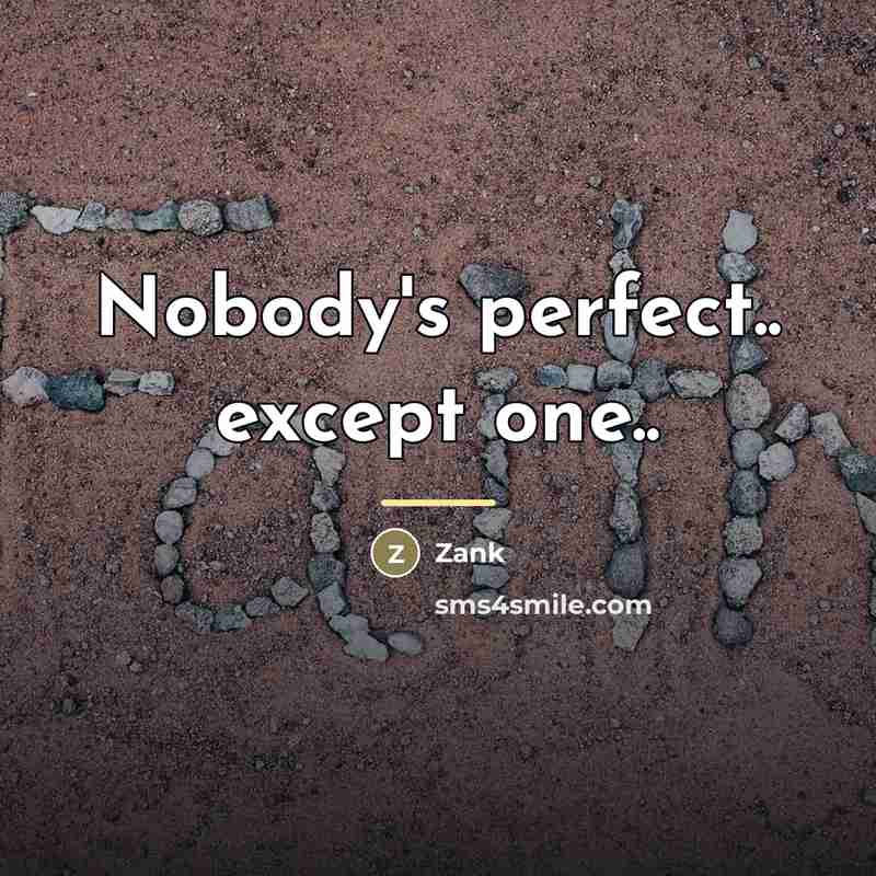 “Nobody's perfect.. except one..…” quote by Zank