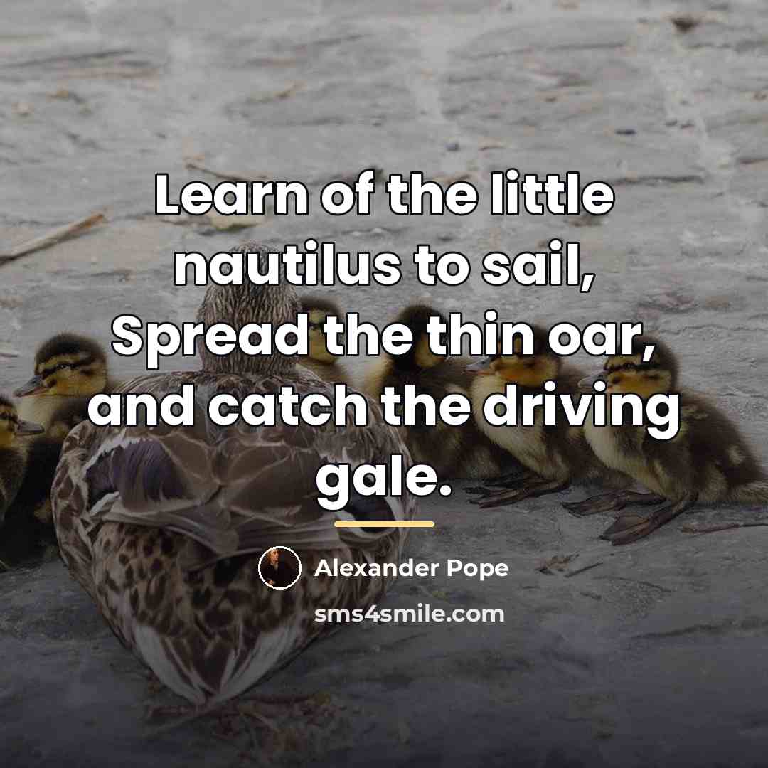 “Learn of the little nautilus to sail, Spread the thin…” quote by Alexander Pope