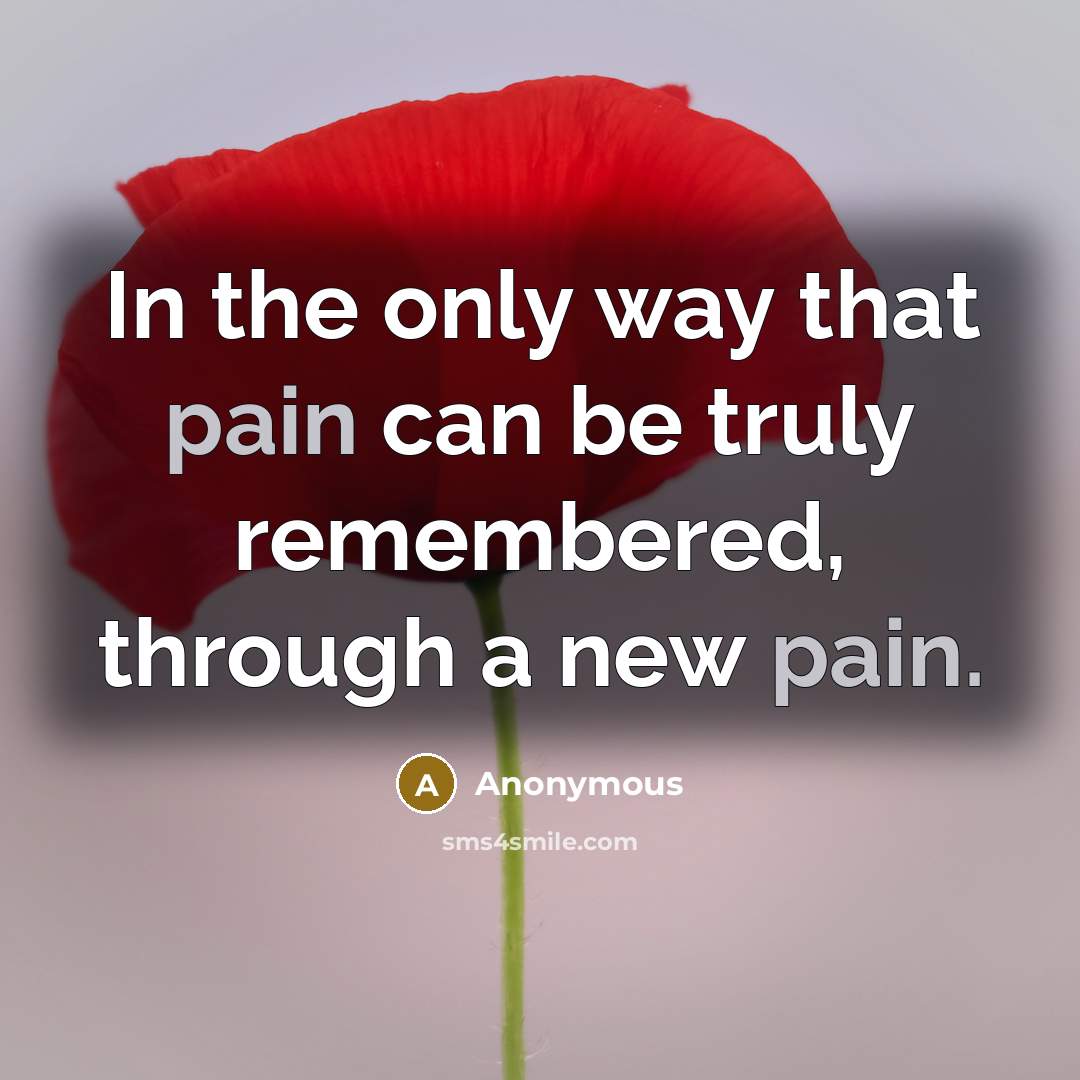 “In the only way that pain can be truly remembered,…” quote by Anonymous