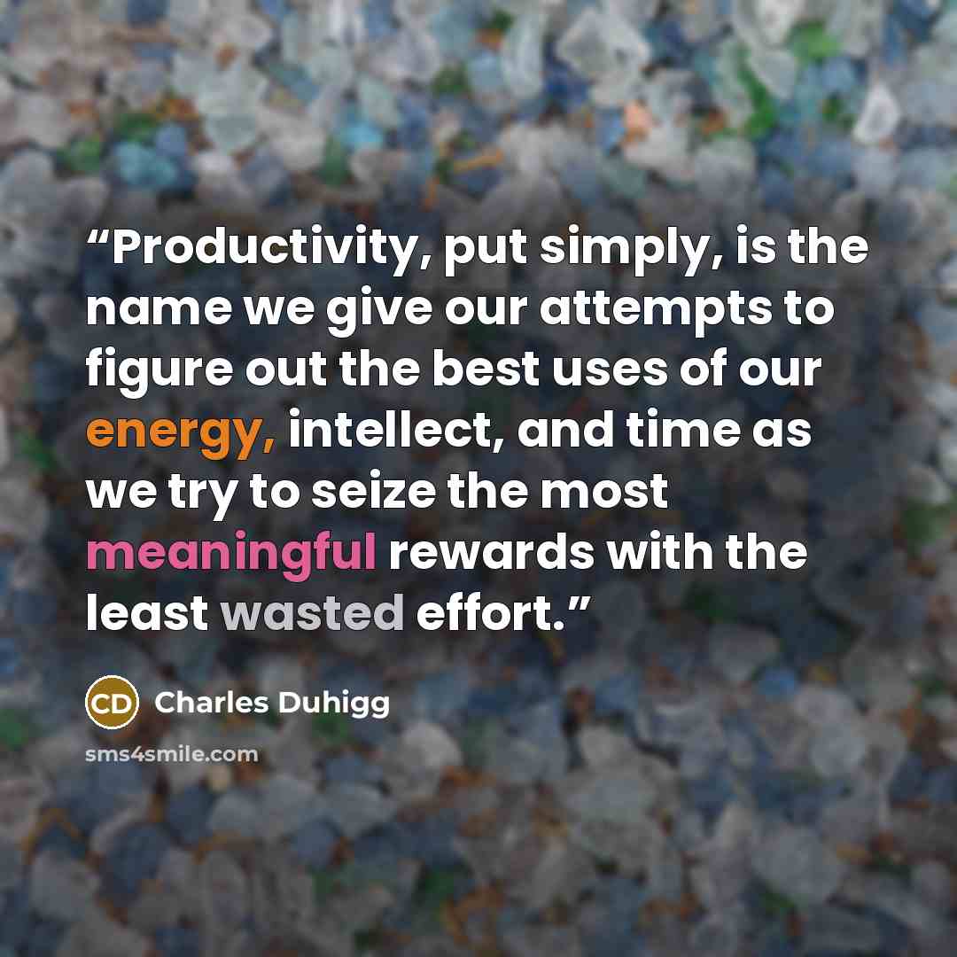 “Productivity, put simply, is the name we give our attempts to figure out the best uses of our energy, intellect, and time as we try to seize the most meaningful rewards with the least wasted effort.” quote by Charles Duhigg