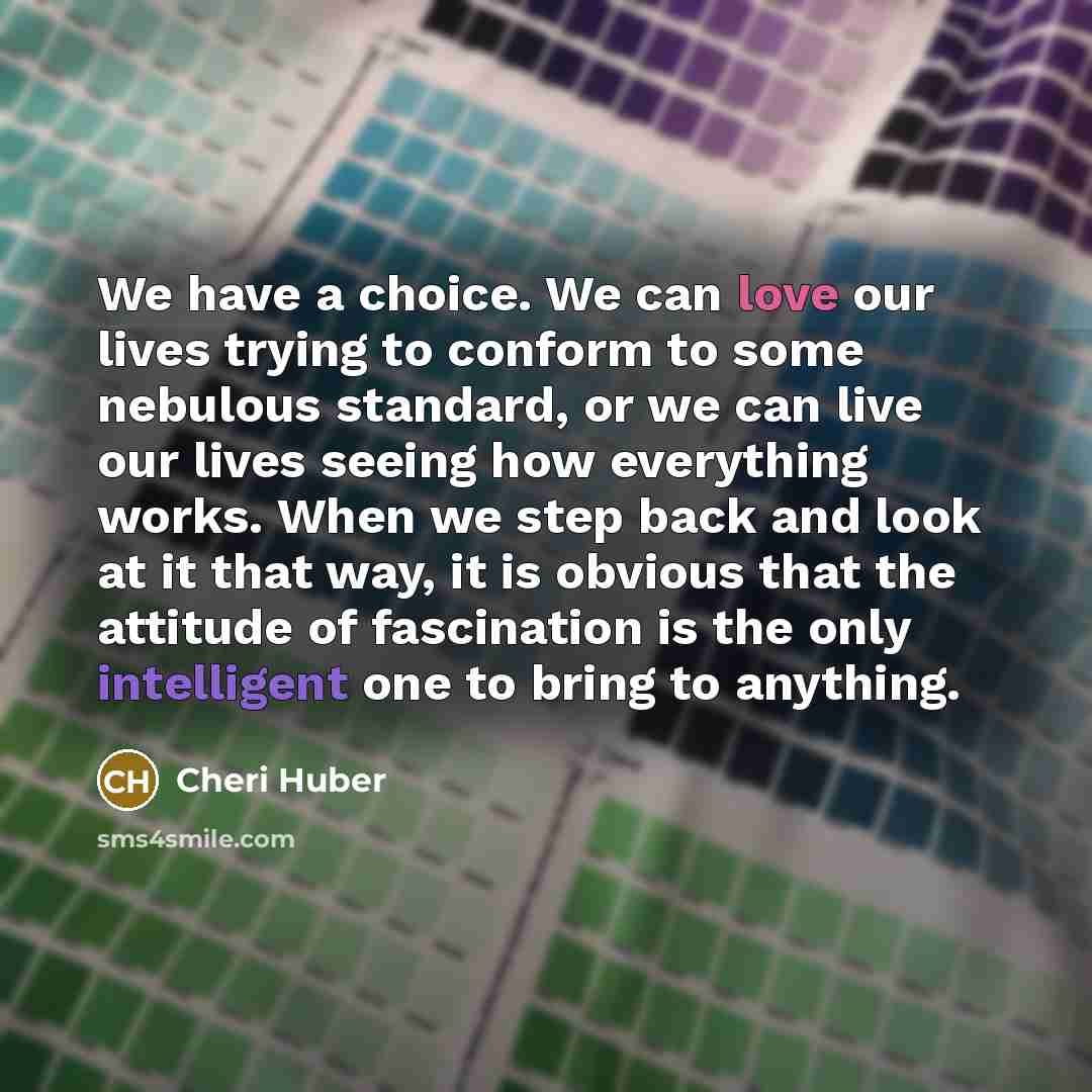 “We have a choice. We can love our lives trying…” quote by Cheri Huber