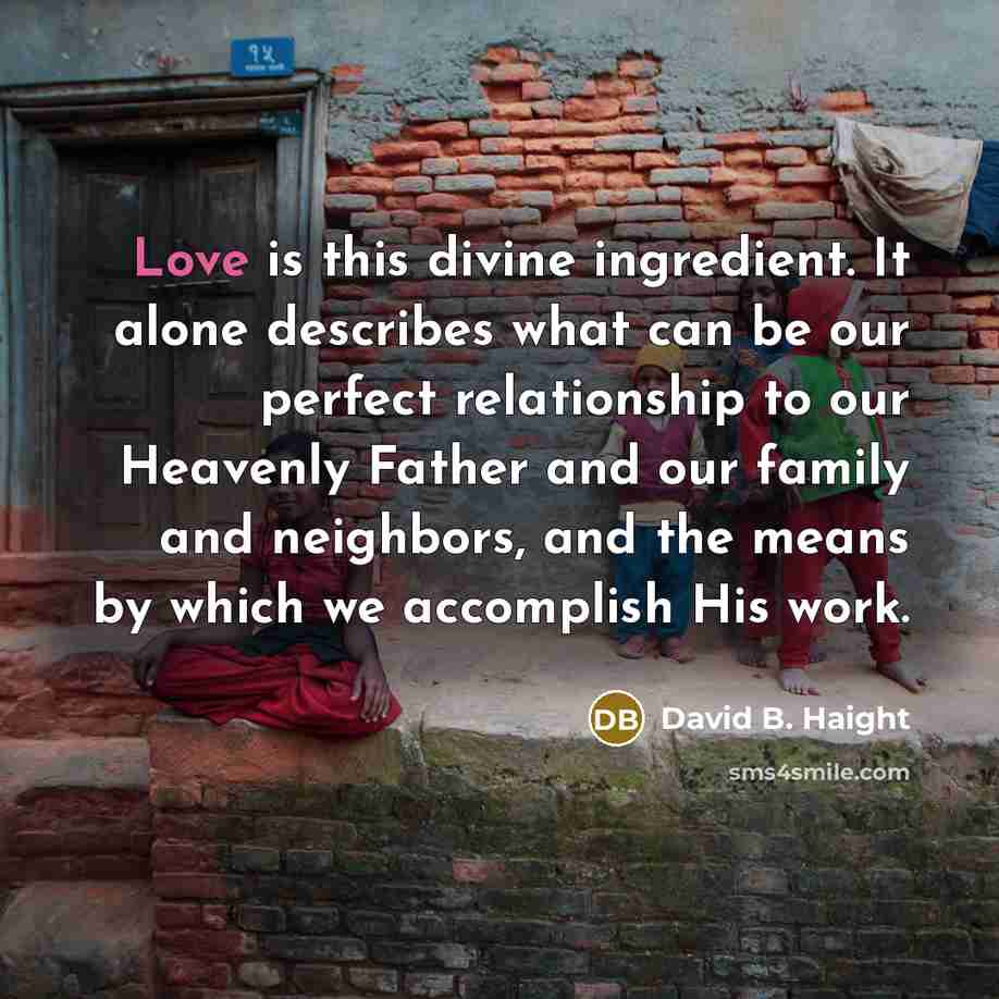 “Love is this divine ingredient. It alone describes what can…” quote by David B. Haight