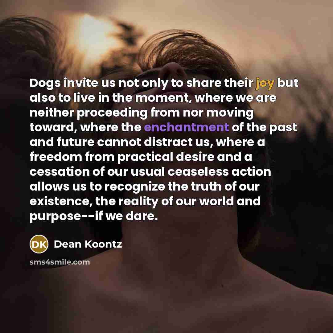 “Dogs invite us not only to share their joy but…” quote by Dean Koontz