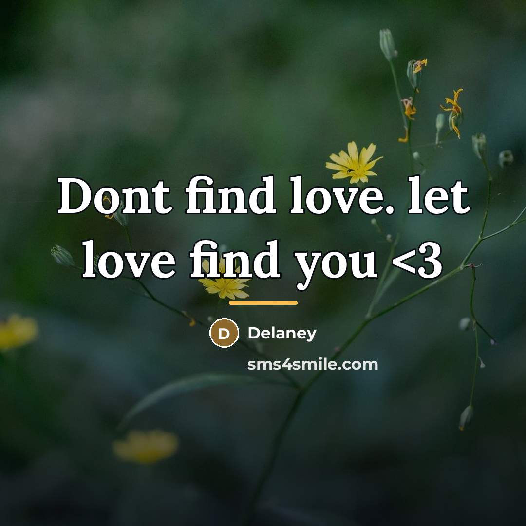 “Dont find love. let love find you…” quote by Delaney