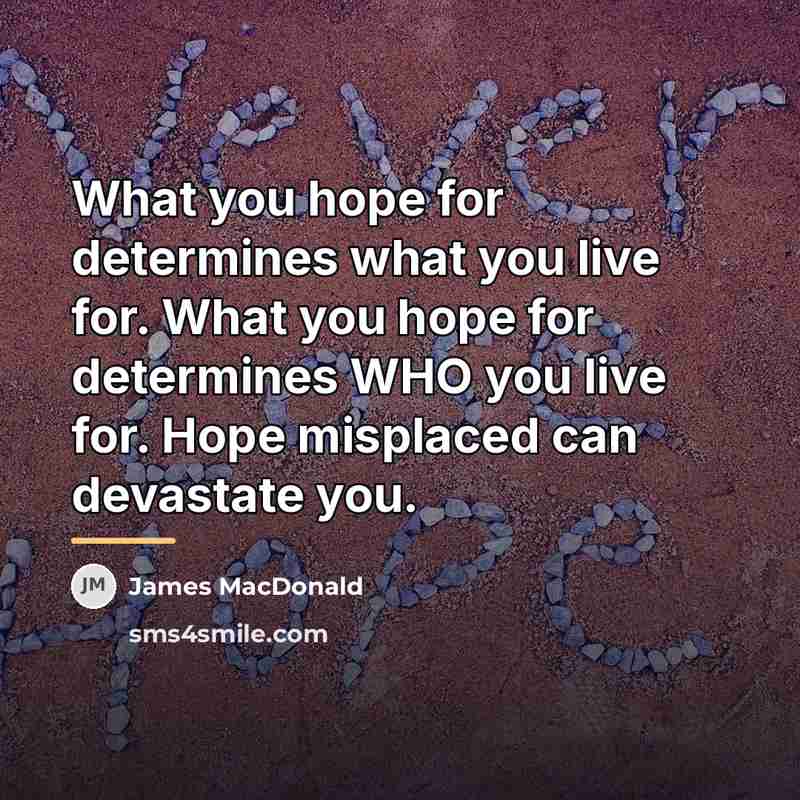 “What you hope for determines what you live for. What…” quote by James MacDonald