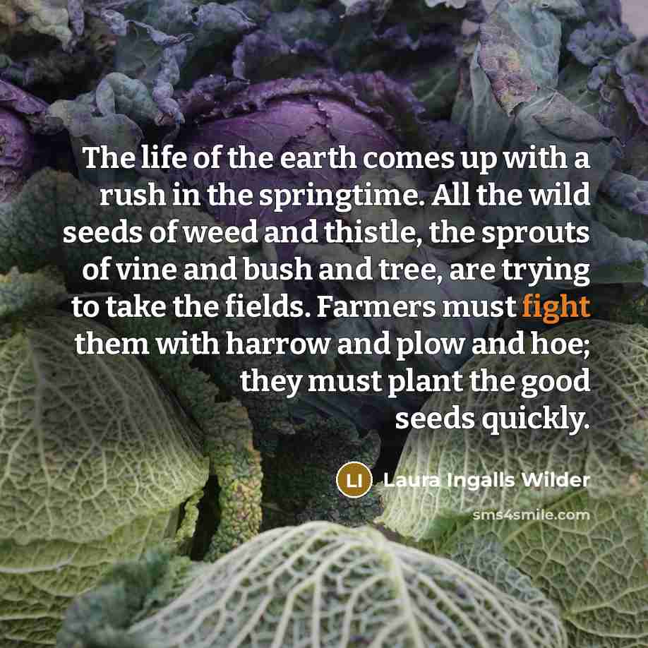 “The life of the earth comes up with a rush…” quote by Laura Ingalls Wilder