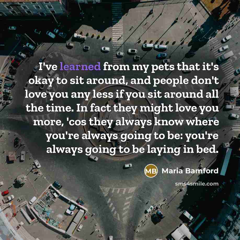 “I've learned from my pets that it's okay to sit…” quote by Maria Bamford
