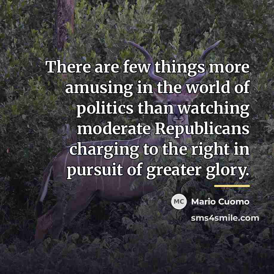“There are few things more amusing in the world of…” quote by Mario Cuomo