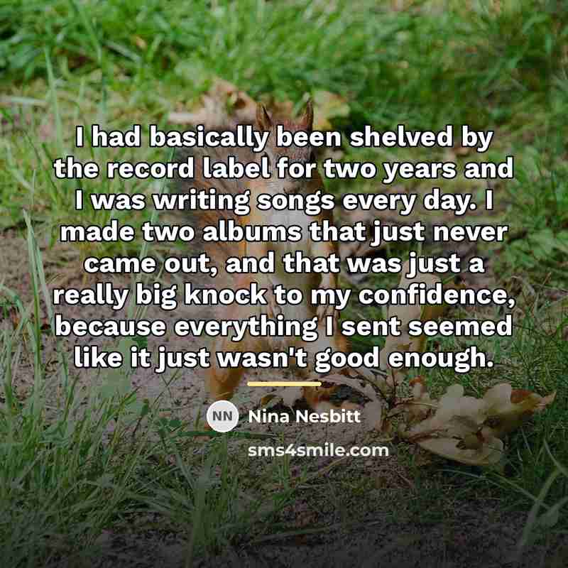 “I had basically been shelved by the record label for…” quote by Nina Nesbitt