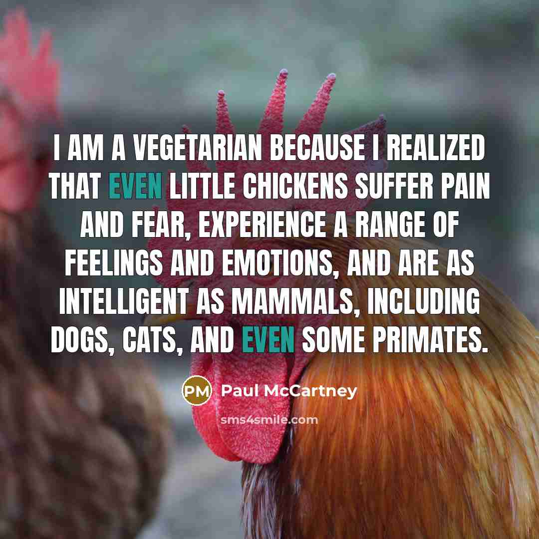 “I am a vegetarian because I realized that even little…” quote by Paul McCartney
