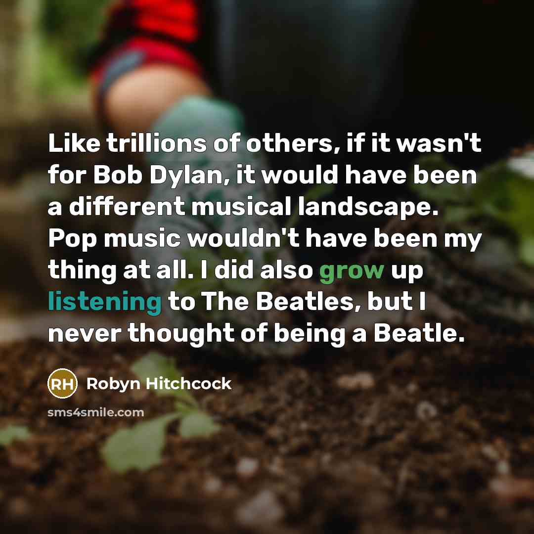 “Like trillions of others, if it wasn't for Bob Dylan,…” quote by Robyn Hitchcock