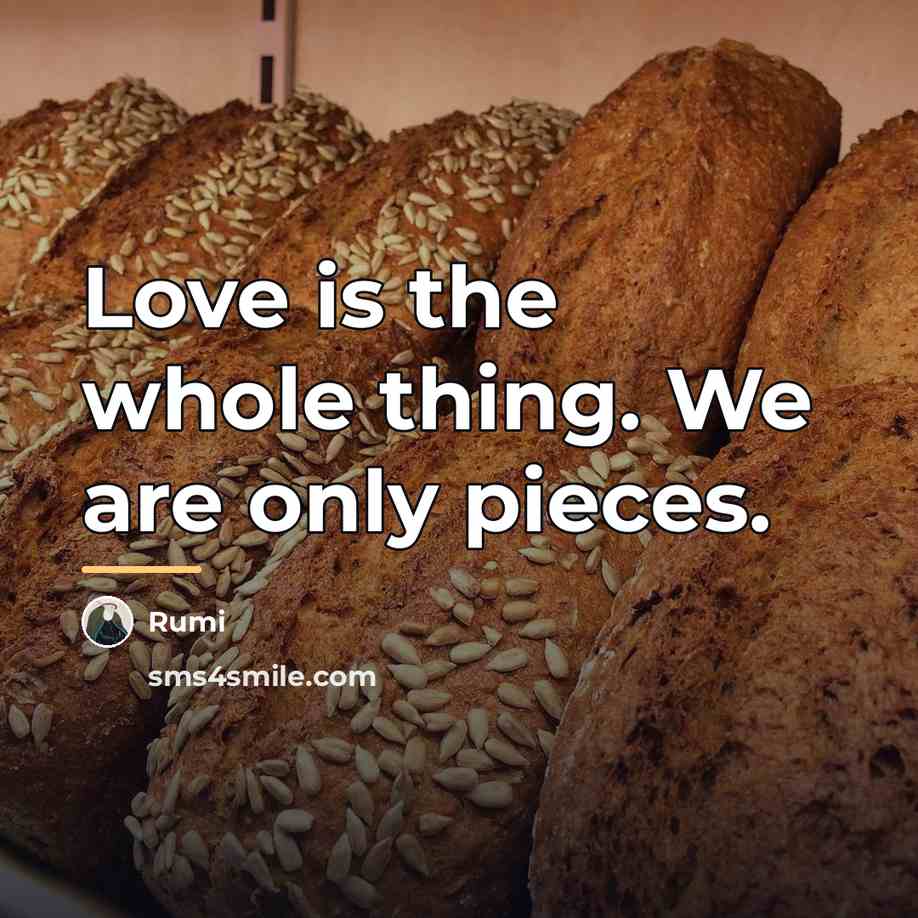 “Love is the whole thing. We are only pieces.…” quote by Rumi