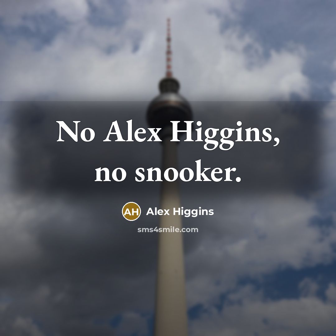 “No Alex Higgins, no snooker.…” quote by Alex Higgins