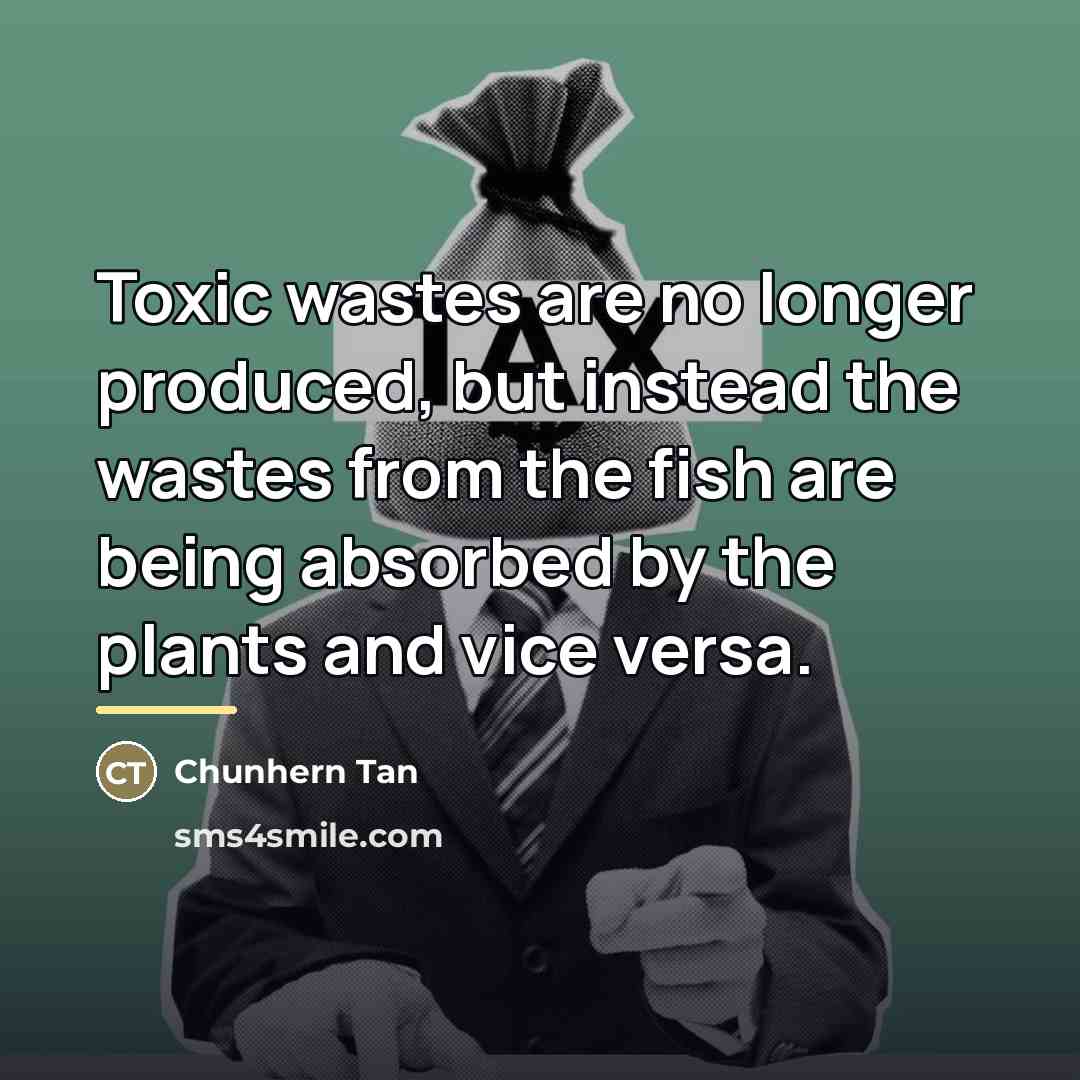 “Toxic wastes are no longer produced, but instead the wastes…” quote by Chunhern Tan