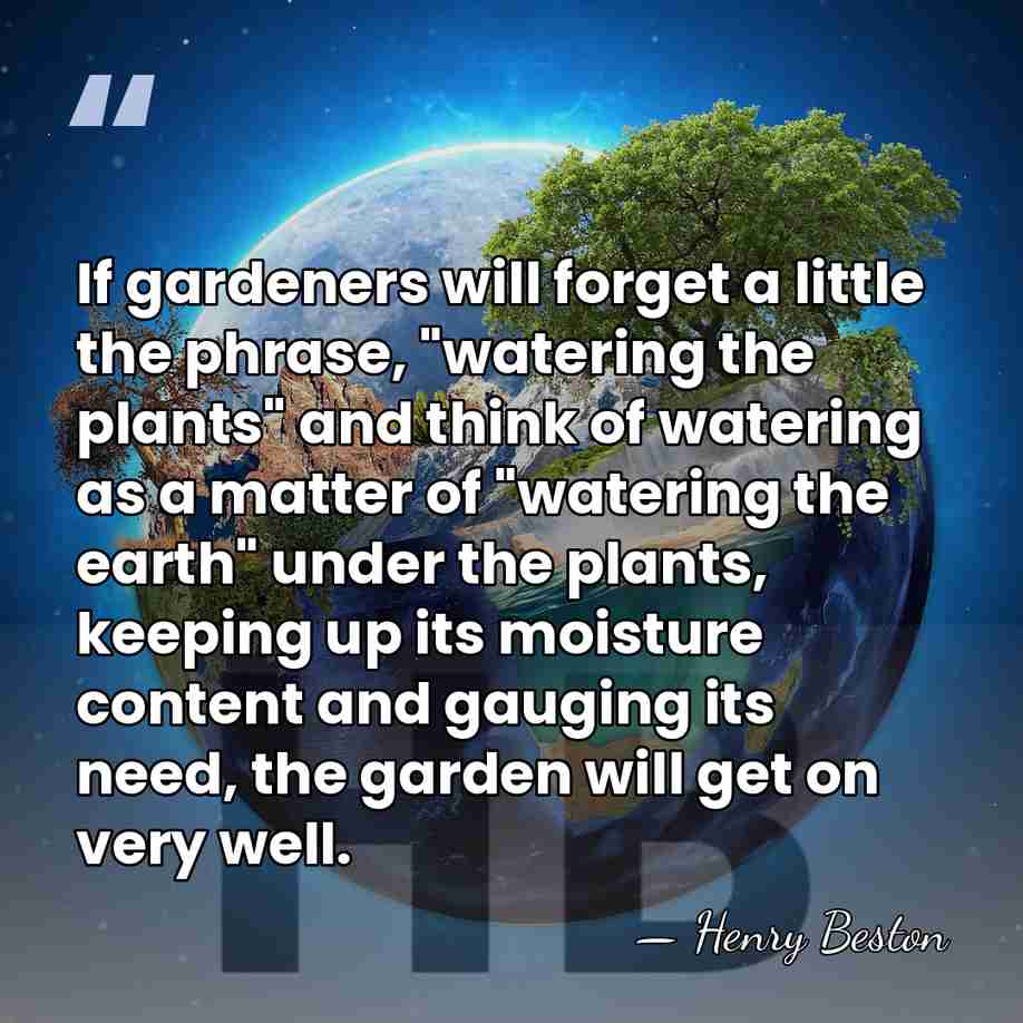 If gardeners will forget a little the phrase, "watering the plants" and&hellip; - Henry Beston