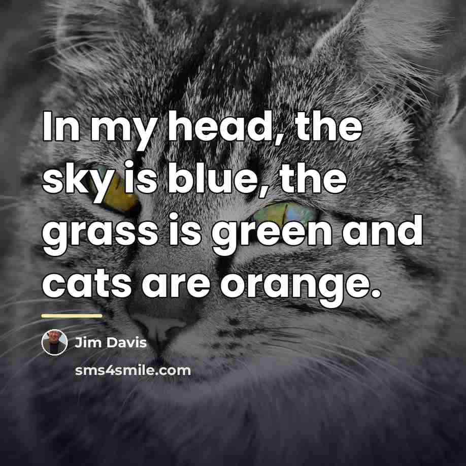“In my head, the sky is blue, the grass is…” quote by Jim Davis