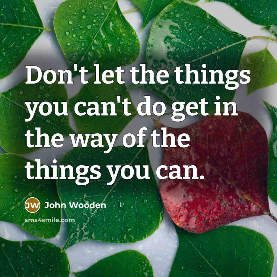 “Don't let the things you can't do get in the…” quote by John Wooden