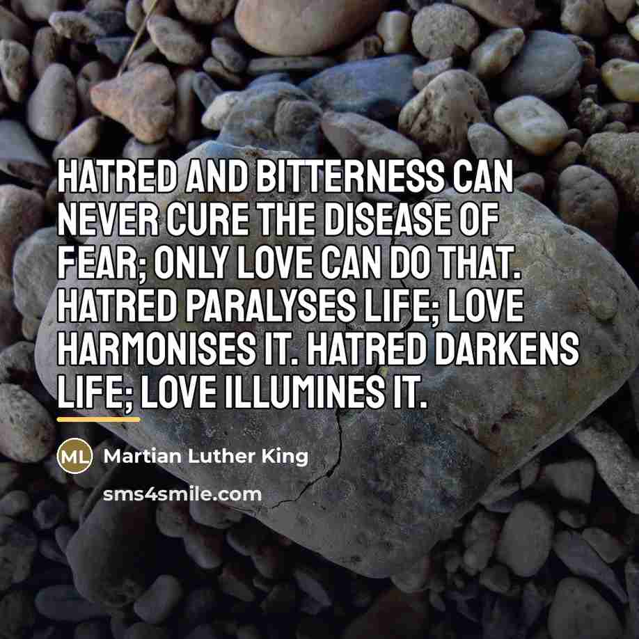 “Hatred and bitterness can never cure the disease of fear;…” quote by Anonymous