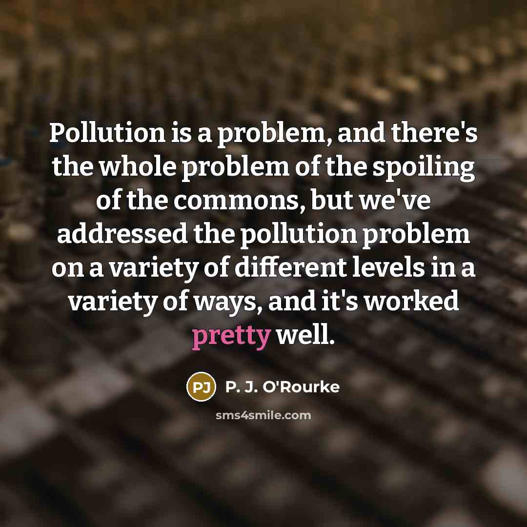 “Pollution is a problem, and there's the whole problem of the spoiling of the commons, but we've addressed the pollution problem on a variety of different levels in a variety of ways, and it's worked pretty well.” quote by P. J. O'Rourke