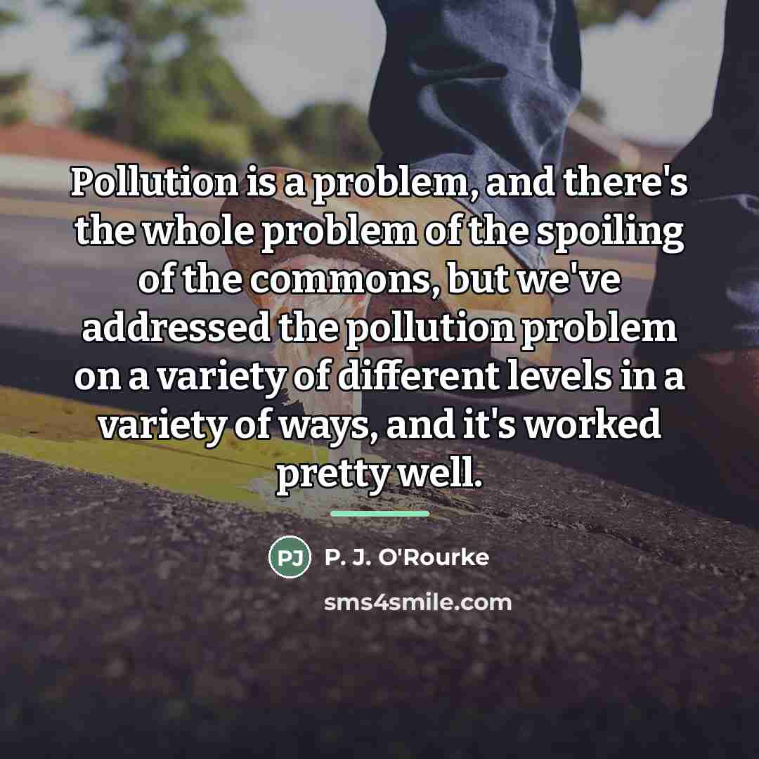 “Pollution is a problem, and there's the whole problem of…” quote by P. J. O'Rourke