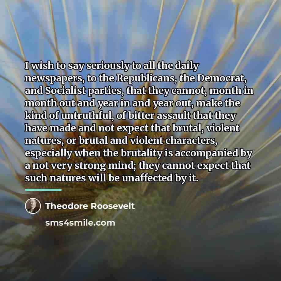 “I wish to say seriously to all the daily newspapers,…” quote by Theodore Roosevelt