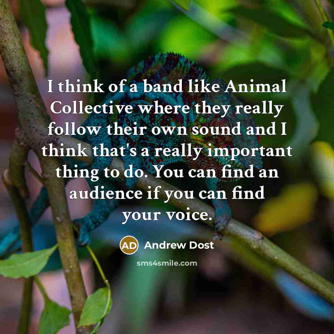 “I think of a band like Animal Collective where they…” quote by Andrew Dost
