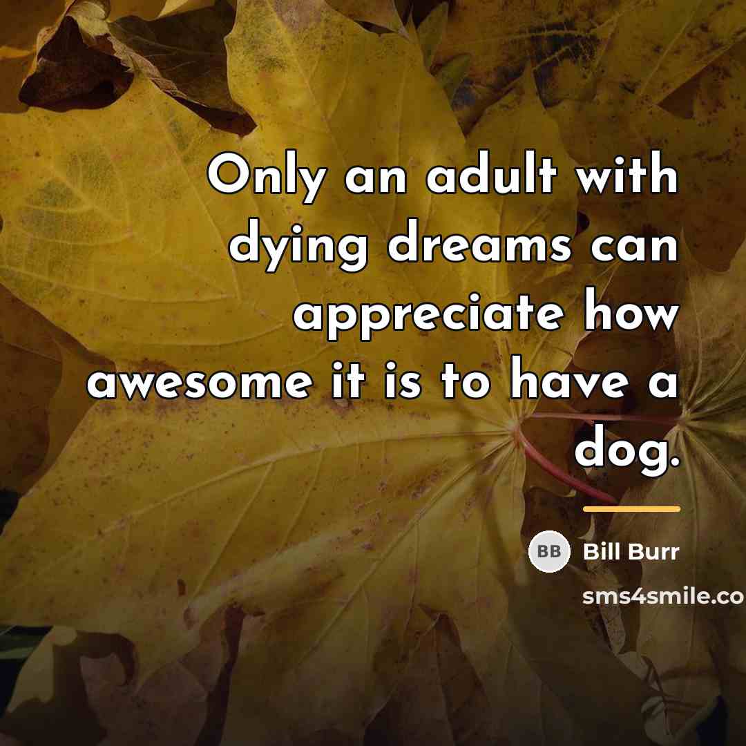 “Only an adult with dying dreams can appreciate how awesome…” quote by Bill Burr