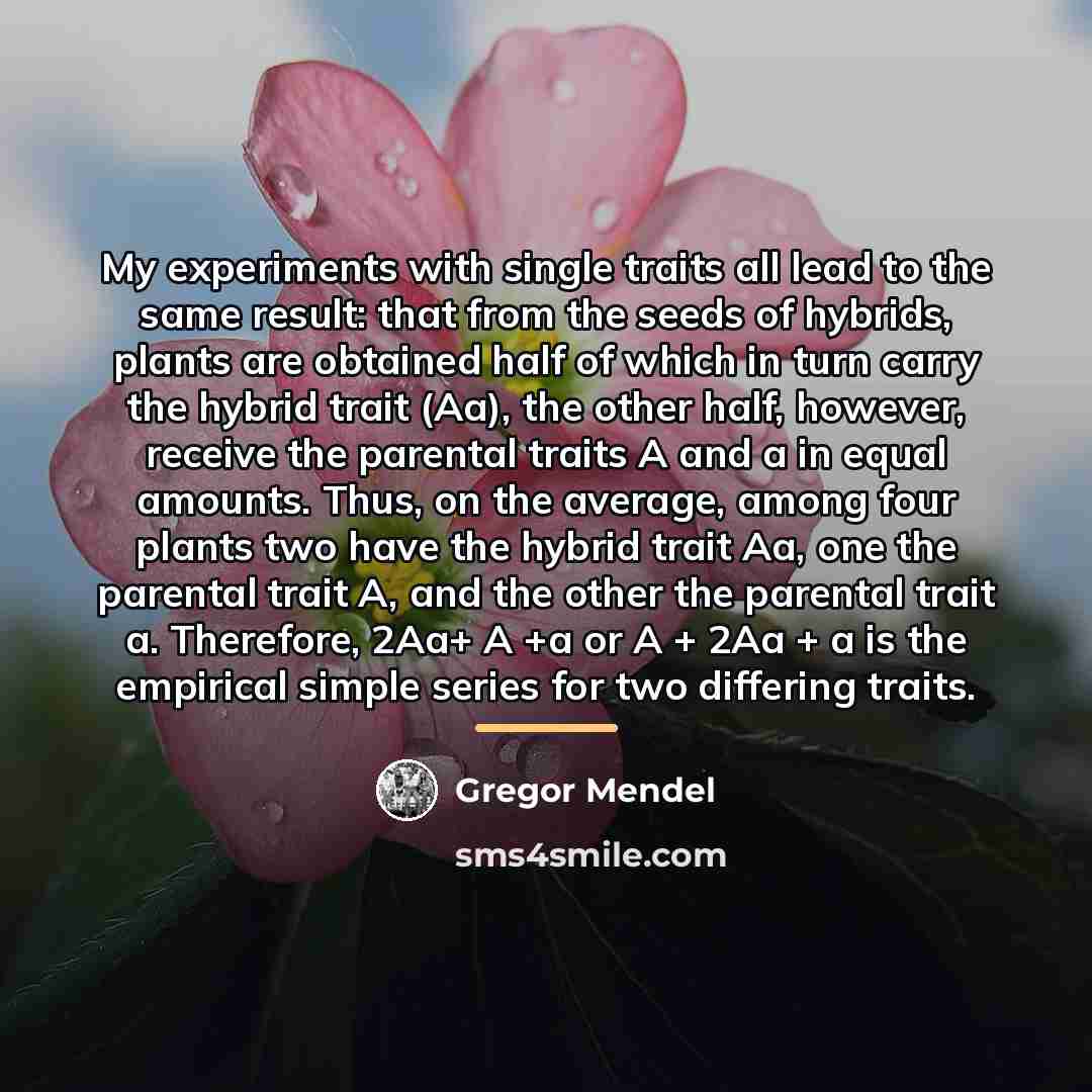 “My experiments with single traits all lead to the same…” quote by Gregor Mendel
