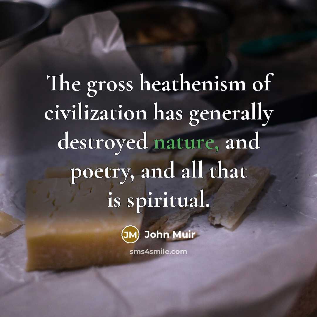 “The gross heathenism of civilization has generally destroyed nature, and…” quote by John Muir