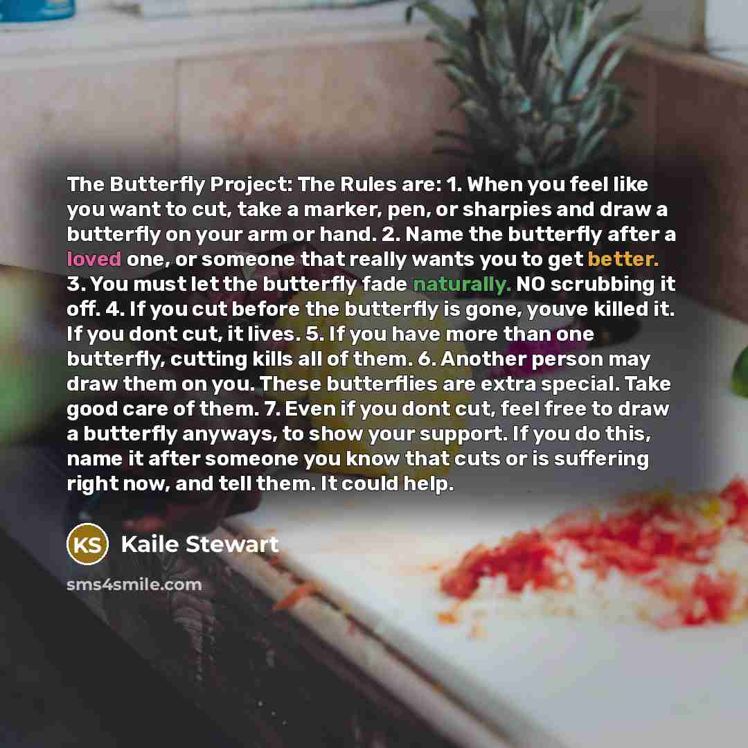 “The Butterfly Project: The Rules are: 1. When you feel like you want to cut, take a marker, pen, or sharpies and draw a butterfly on your arm or hand. 2. Name the butterfly after a loved one, or someone that really wants you to get better. 3. You must let the butterfly fade naturally. NO scrubbing…” quote by Kaile Stewart