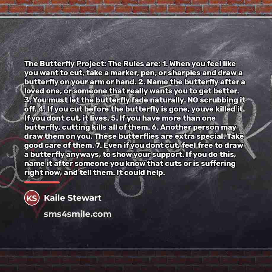 “The Butterfly Project: The Rules are: 1. When you feel…” quote by Kaile Stewart