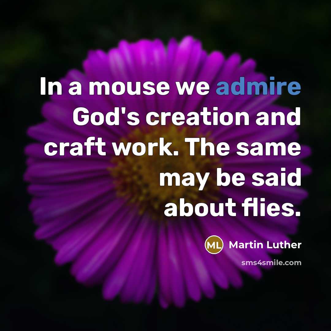“In a mouse we admire God's creation and craft work.…” quote by Martin Luther