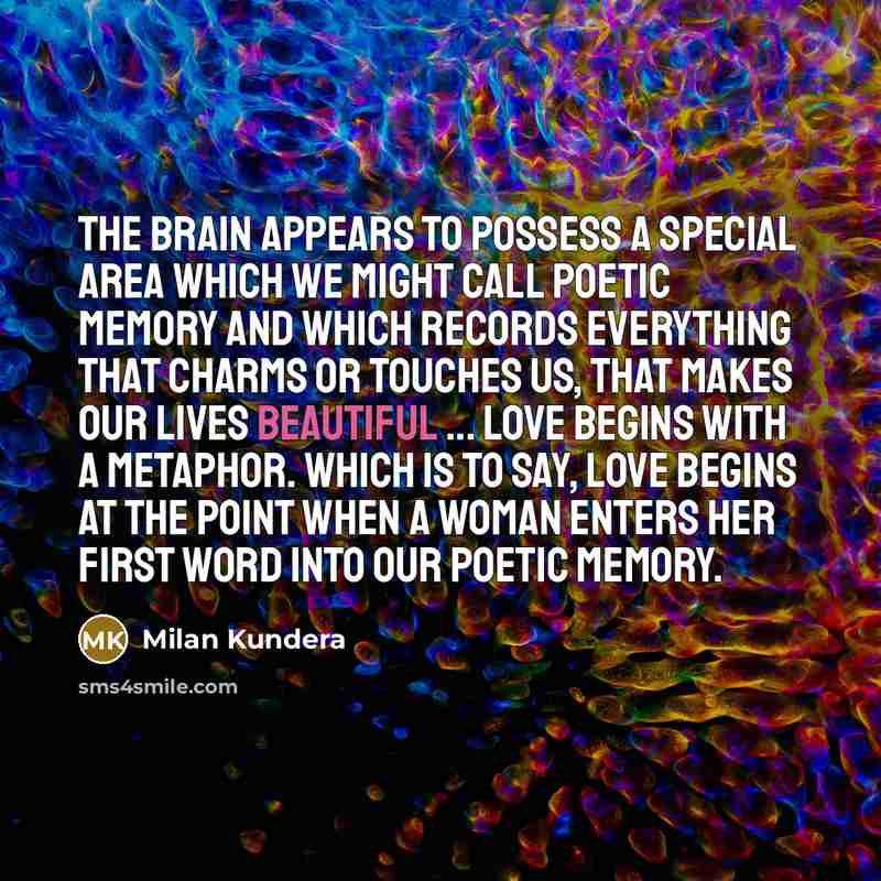 “The brain appears to possess a special area which we…” quote by Milan Kundera