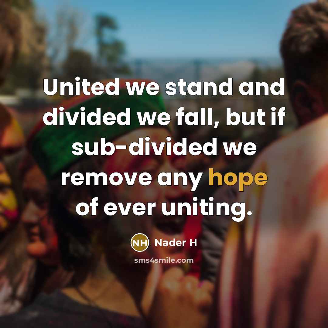 “United we stand and divided we fall, but if sub-divided…” quote by Nader H