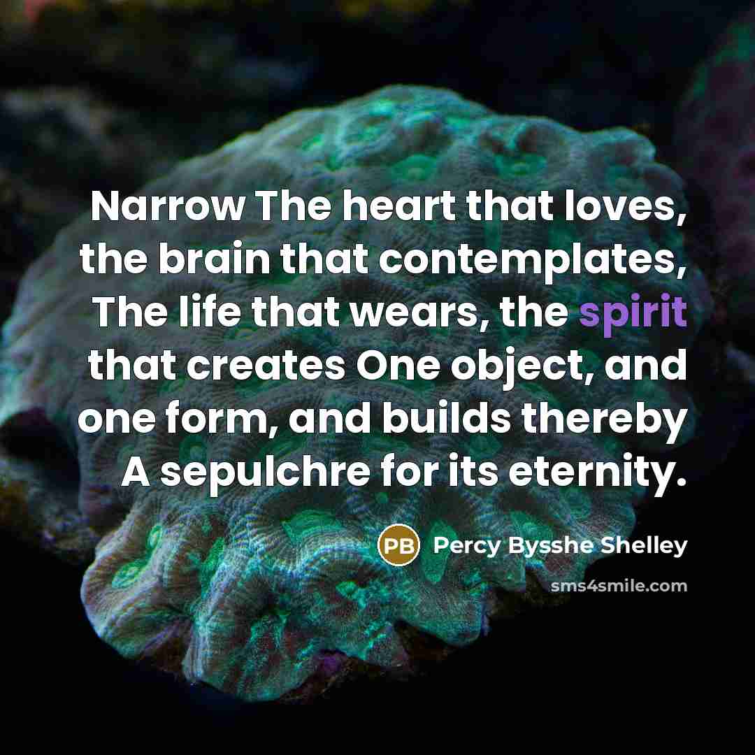 “Narrow The heart that loves, the brain that contemplates, The…” quote by Percy Bysshe Shelley