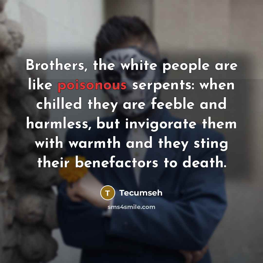 “Brothers, the white people are like poisonous serpents: when chilled…” quote by Tecumseh
