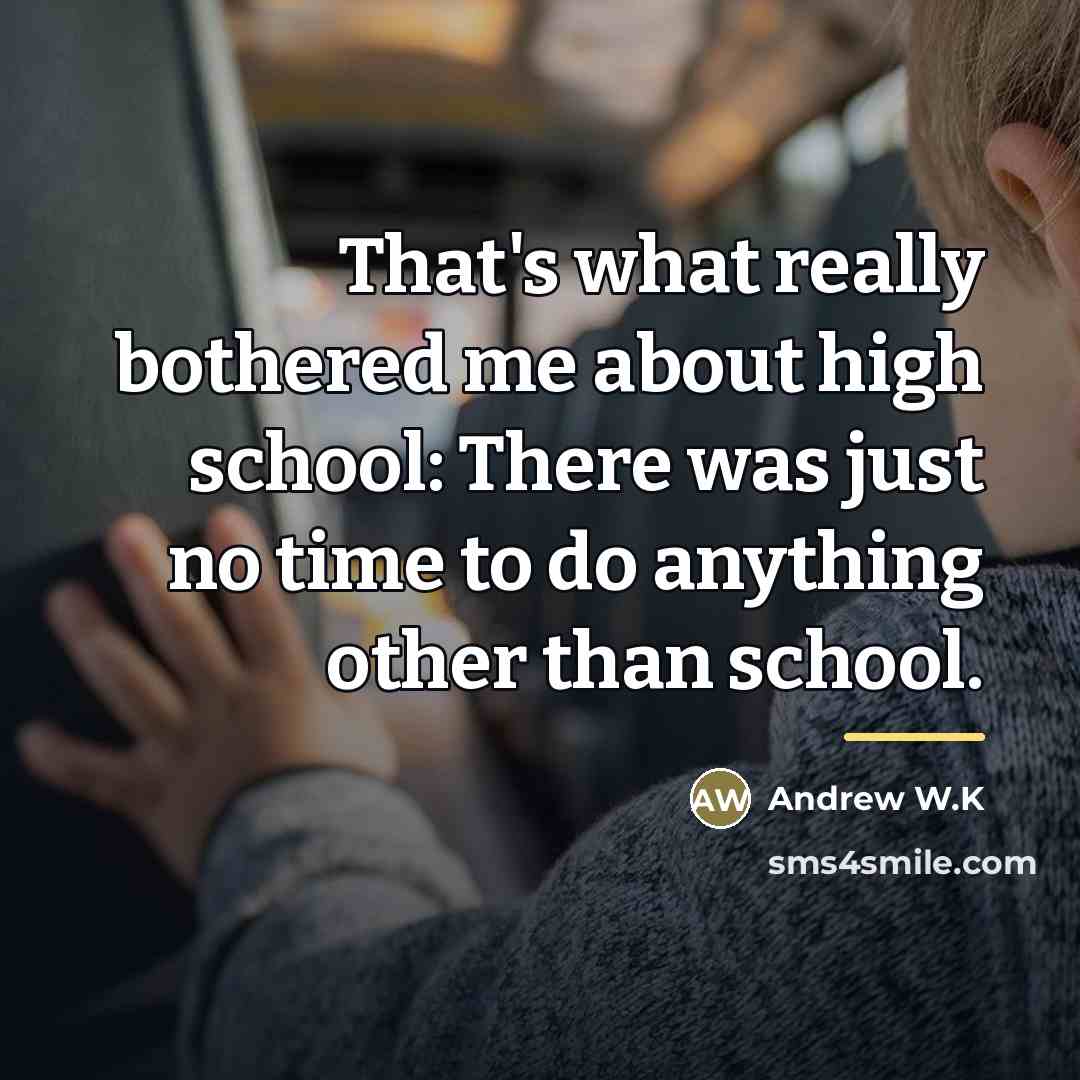 “That's what really bothered me about high school: There was…” quote by Andrew W.K