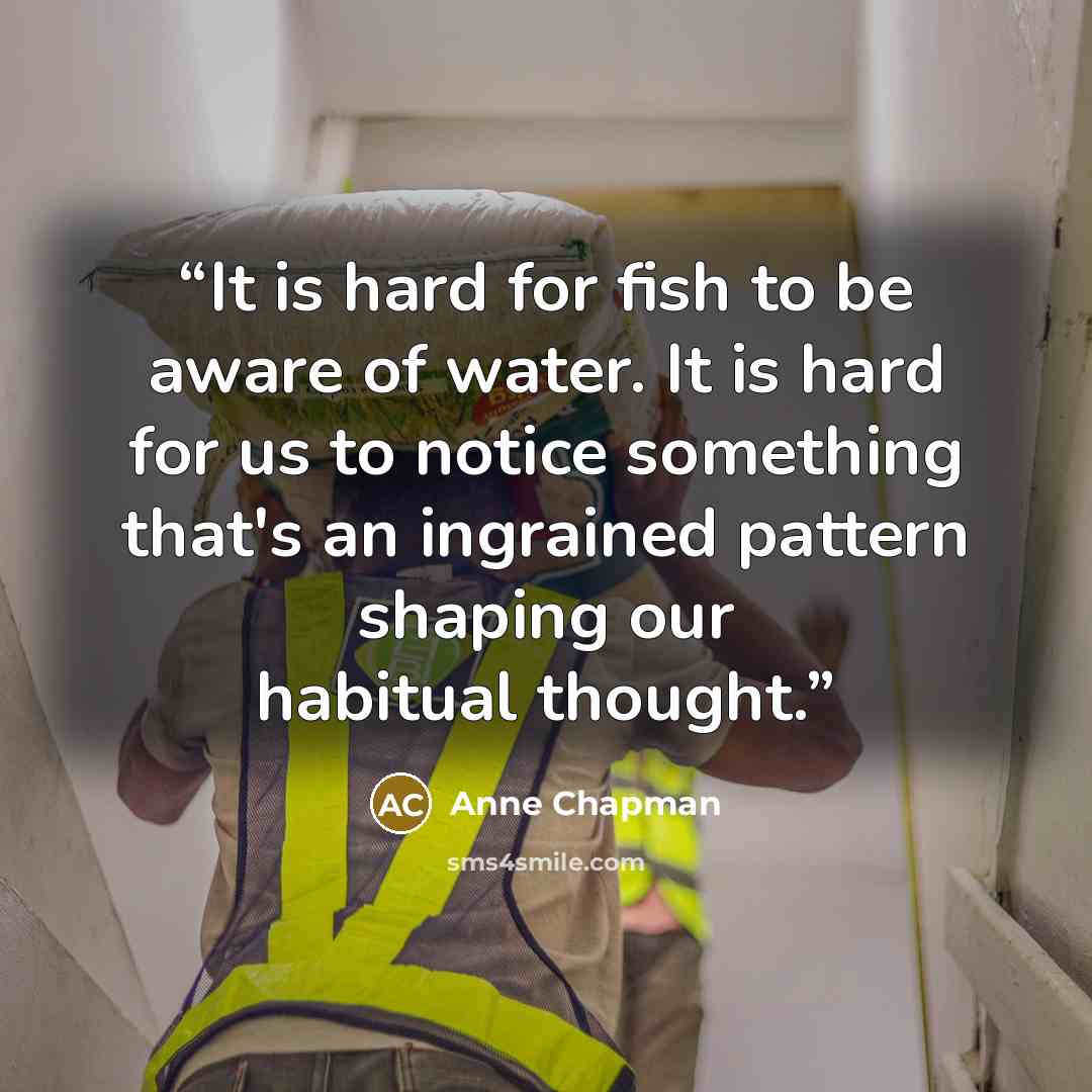 “It is hard for fish to be aware of water. It is hard for us to notice something that's an ingrained pattern shaping our habitual thought.” quote by Anne Chapman