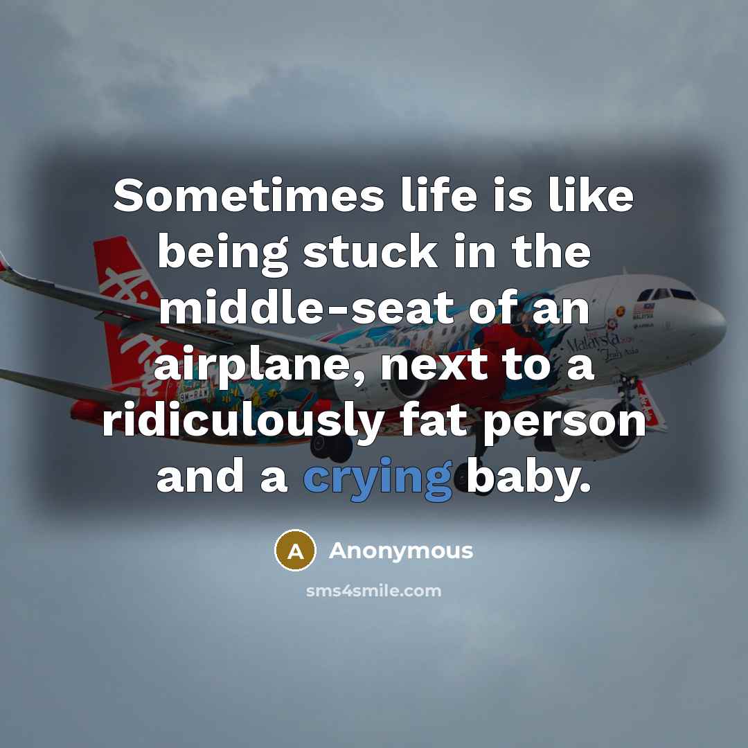 “Sometimes life is like being stuck in the middle-seat of an airplane, next to a ridiculously fat person and a crying baby.” quote by Anonymous