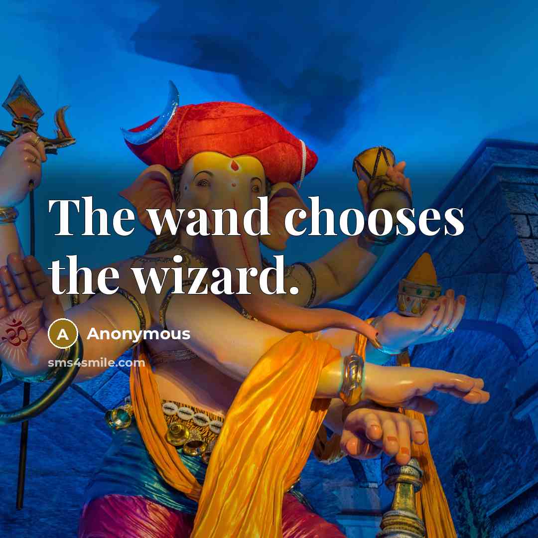 “The wand chooses the wizard.” quote by Anonymous