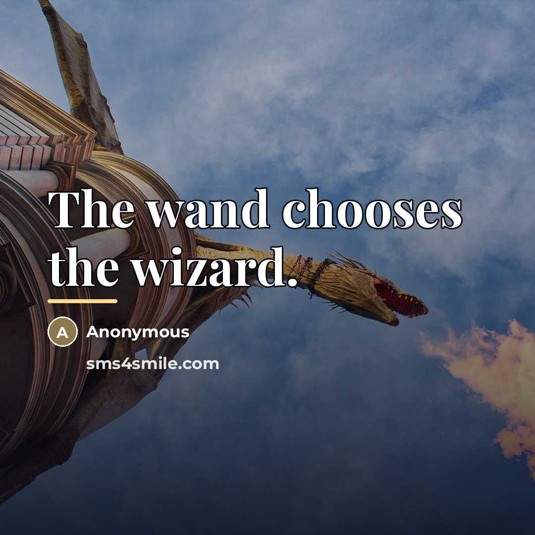 “The wand chooses the wizard.…” quote by Anonymous