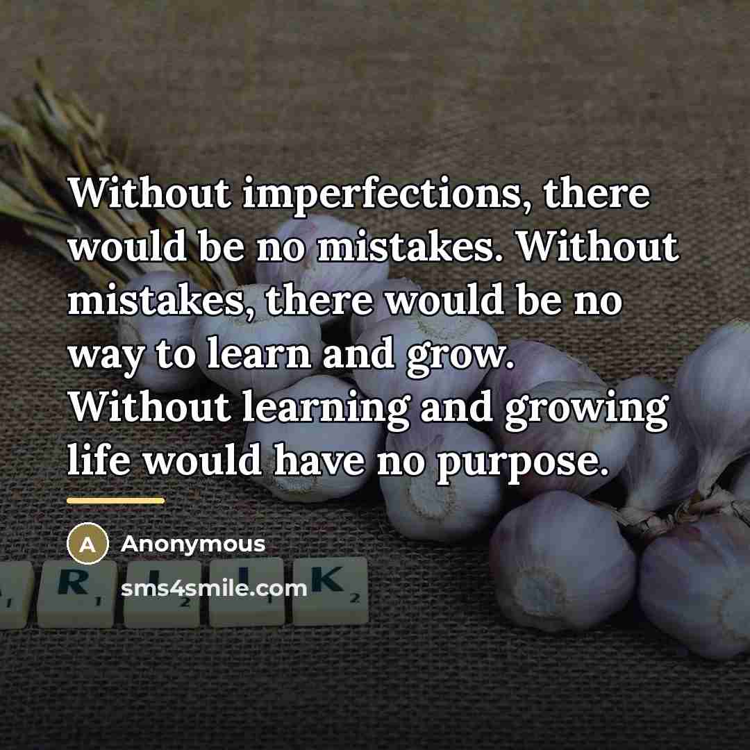 “Without imperfections, there would be no mistakes. Without mistakes, there…” quote by Anonymous