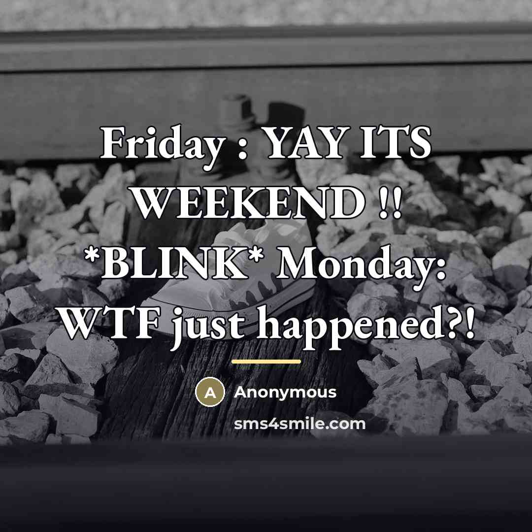 “Friday : YAY ITS WEEKEND !! *BLINK* Monday: WTF just…” quote by Anonymous